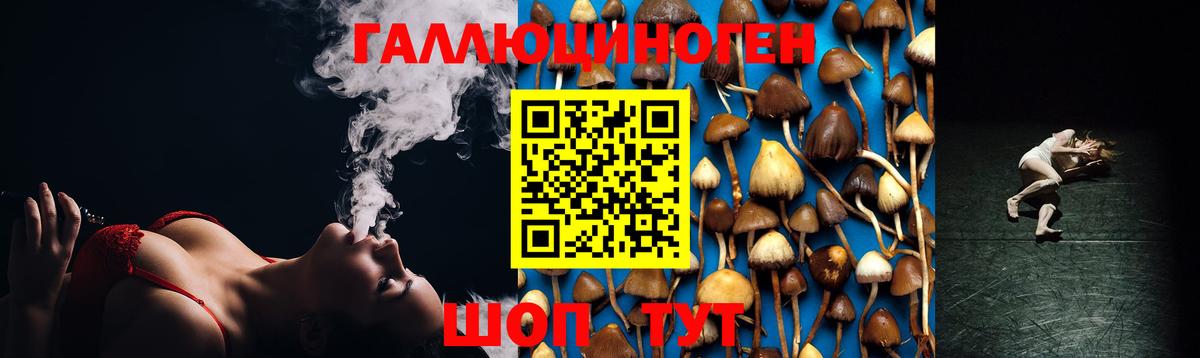 Менделеевск  Псилоцибиновые грибы Cubensis  Вход с VPN 